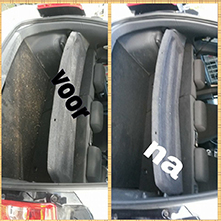 Plants: foto 1 0f 9 thumb