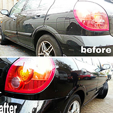 Plants: foto 4 0f 9 thumb