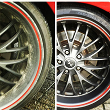 Plants: foto 3 0f 9 thumb