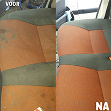 Plants: foto 1 0f 9 thumb